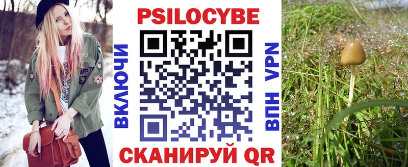 Купить  Оса  Псилоцибиновые грибы ЛСД 